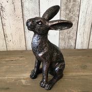 Bronze Coloured Medium Alert Hare